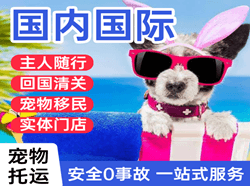 美兰机场快递国际宠物托运 【国